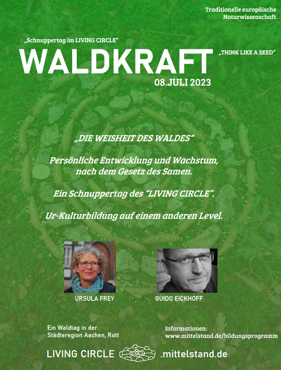 WALDKRAFT | Die Weisheit des Waldes