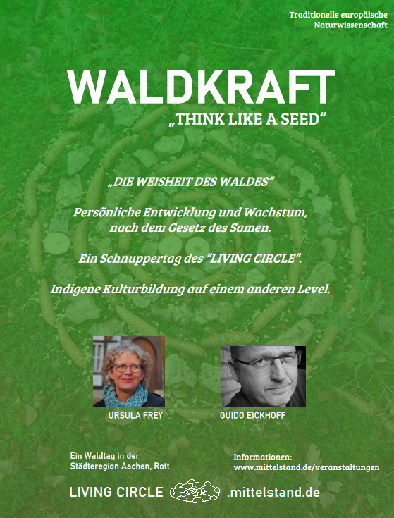 WALDKRAFT | Die Weisheit des Waldes